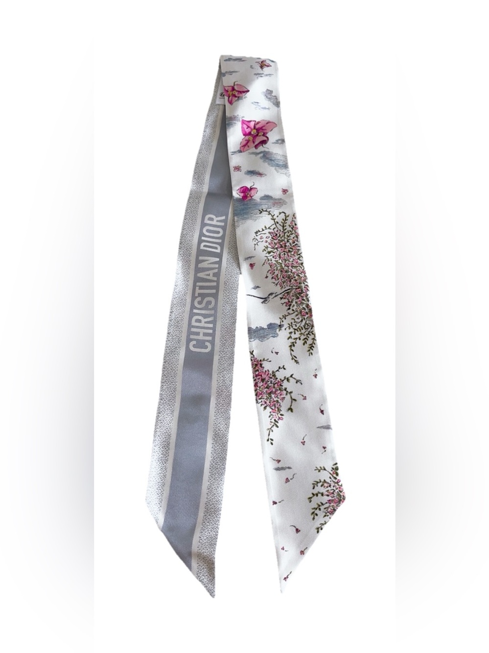 Dior Jardin  D’hiver Mitzah Silk Scarf